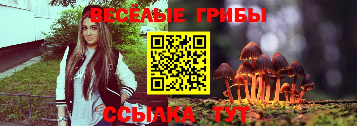 Галлюциногенные грибы мухоморы  Галлюциногенные грибы GOLDEN TEACHER  Вход с VPN  Лосино-Петровский 